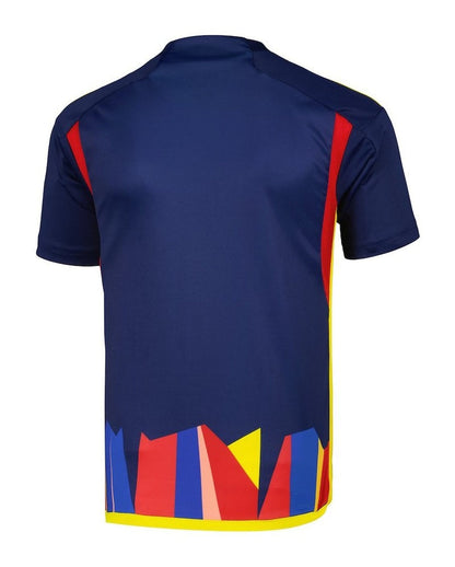 MAILLOT OL THIRD 2023-2024